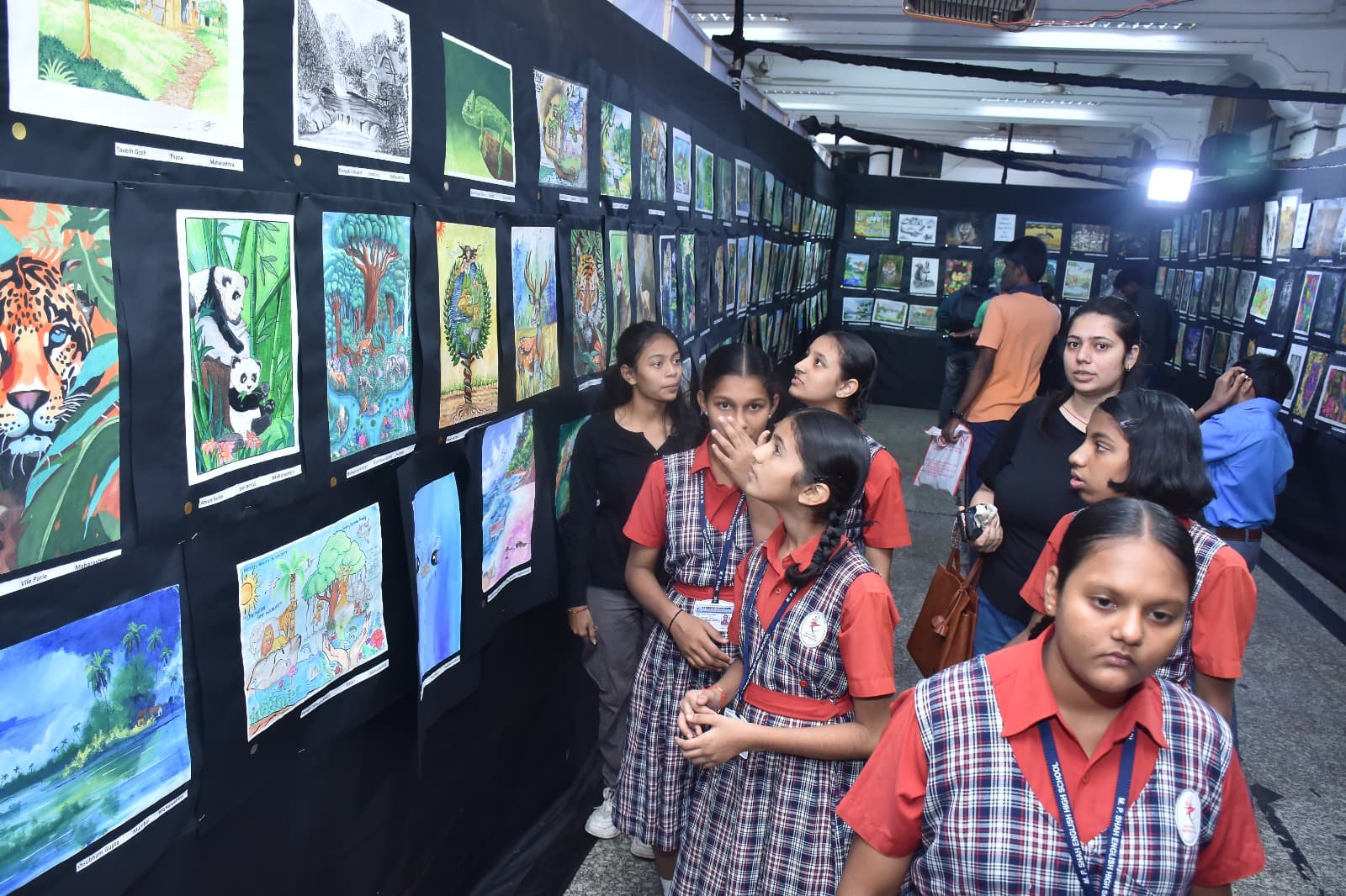 Rang 2024 — Nature & Wildlife of India